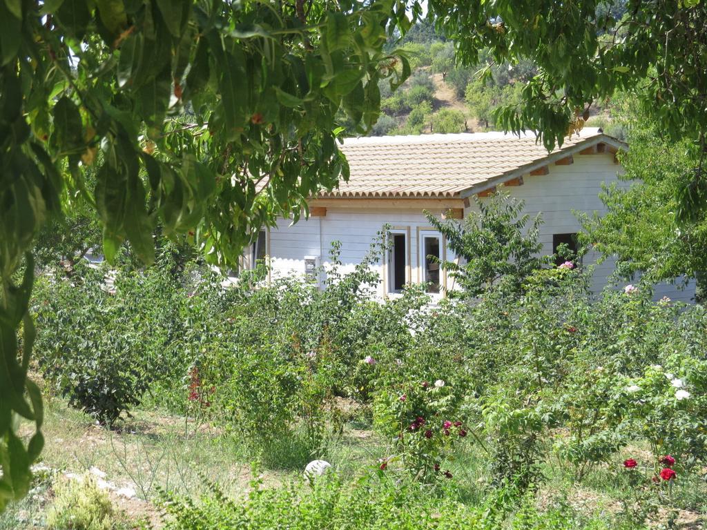Camping Fiori di Noto Ruang foto