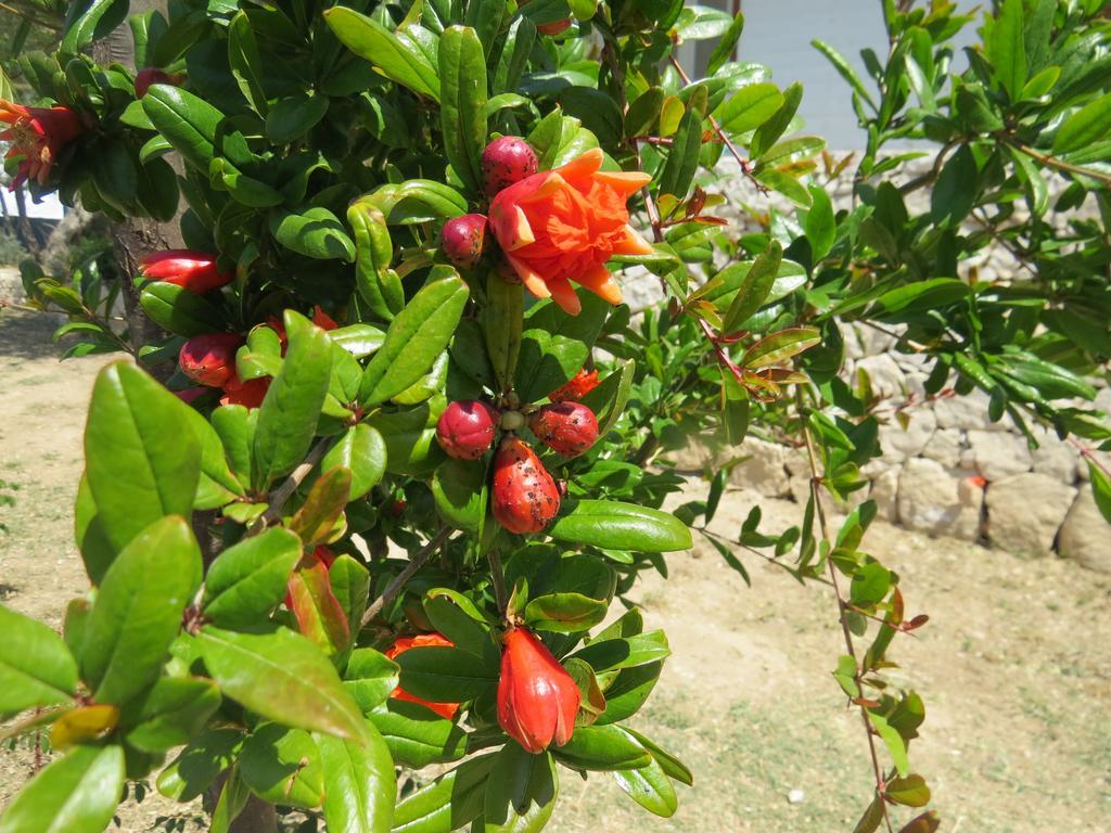 Camping Fiori di Noto Bagian luar foto