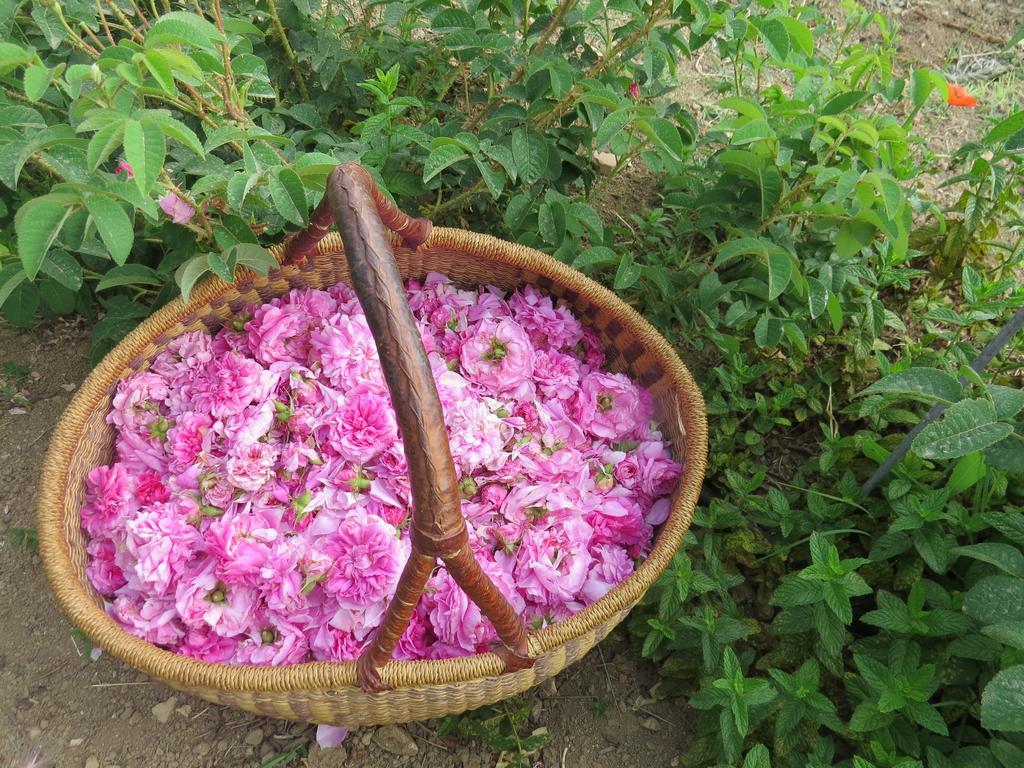 Camping Fiori di Noto Bagian luar foto