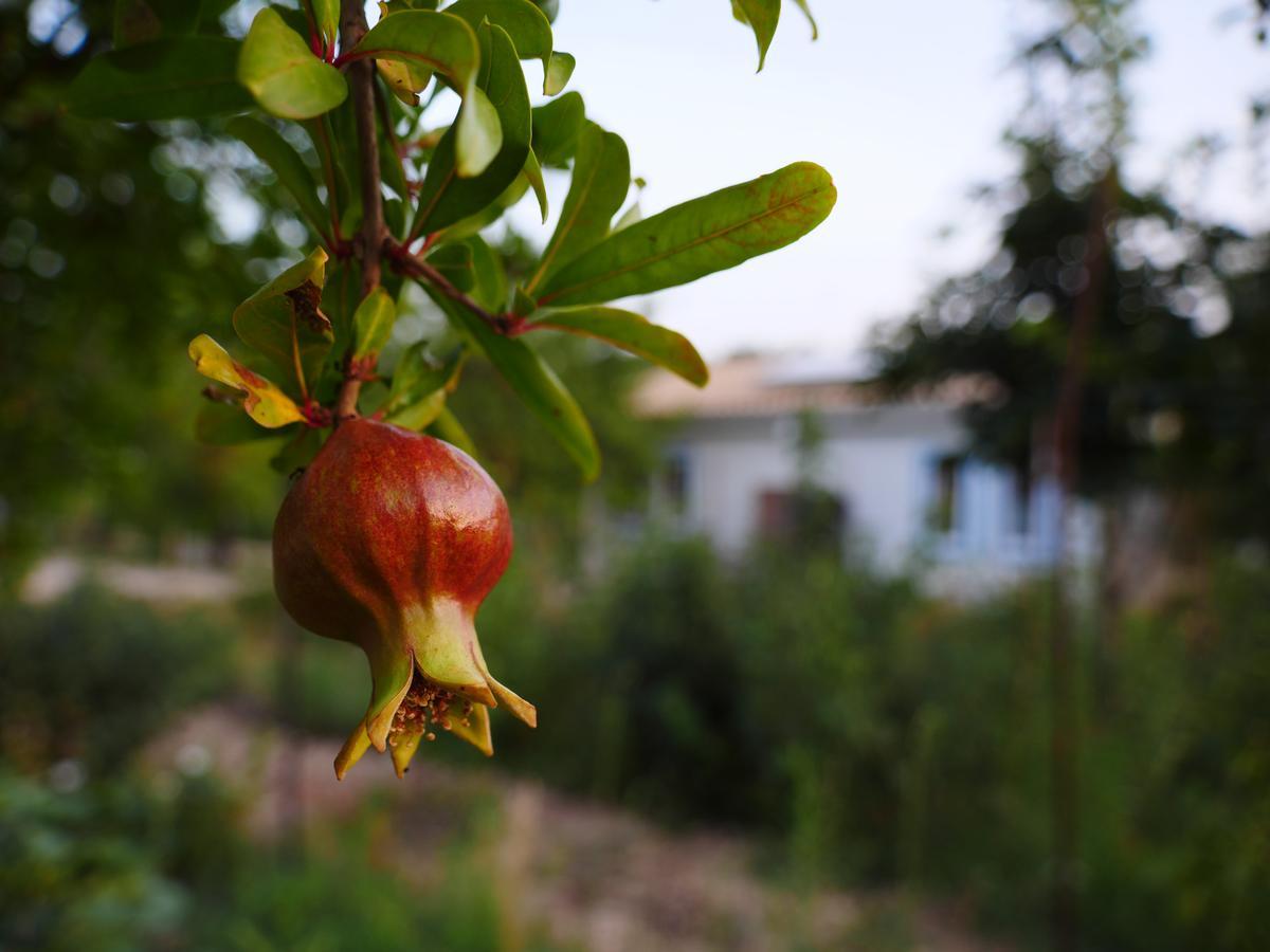 Camping Fiori di Noto Bagian luar foto