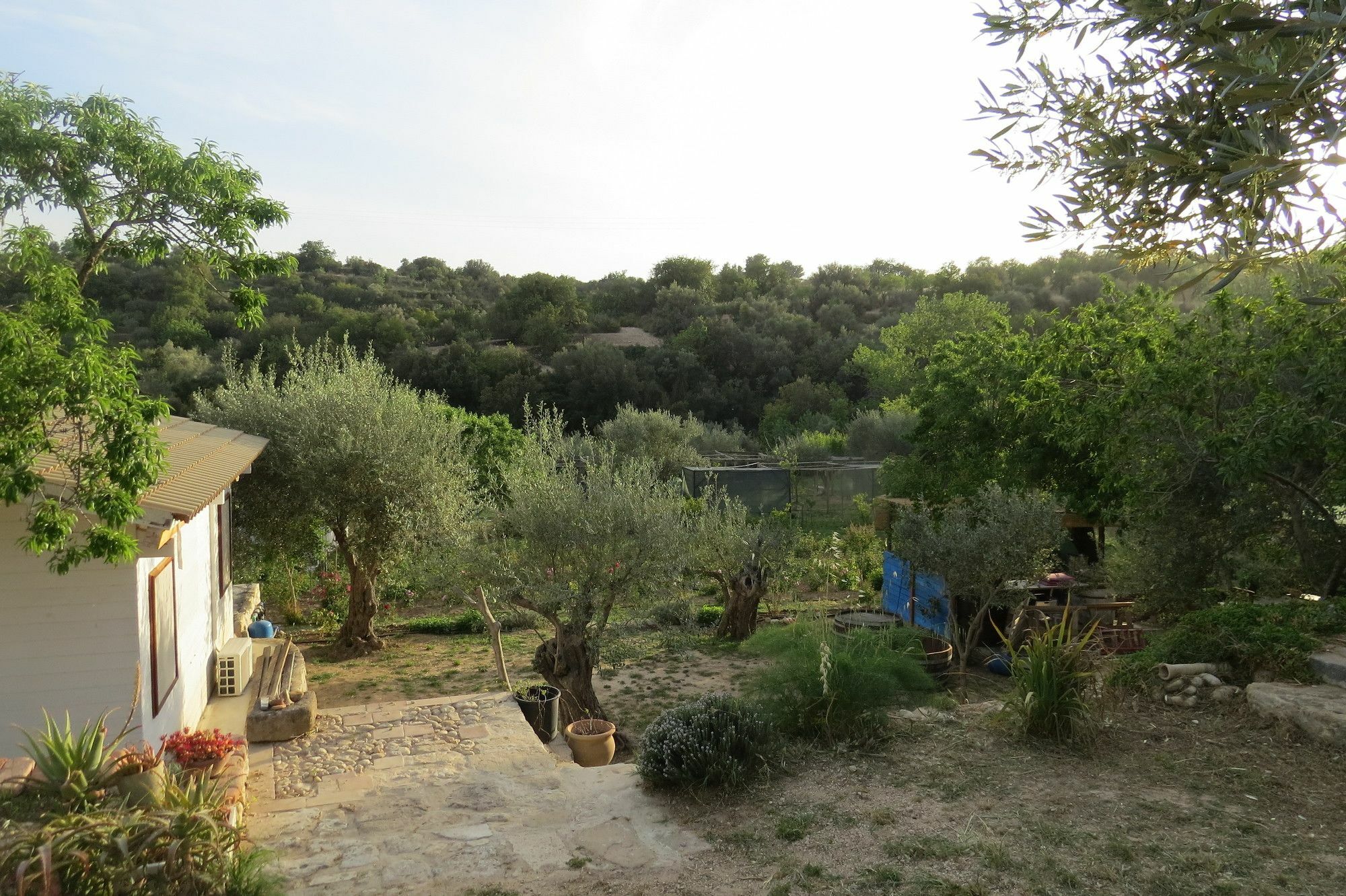 Camping Fiori di Noto Bagian luar foto