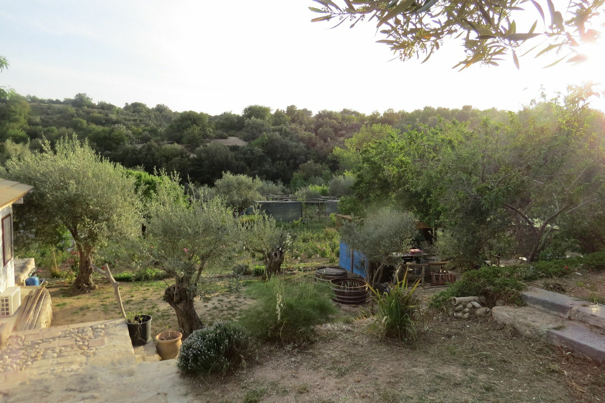 Camping Fiori di Noto Bagian luar foto