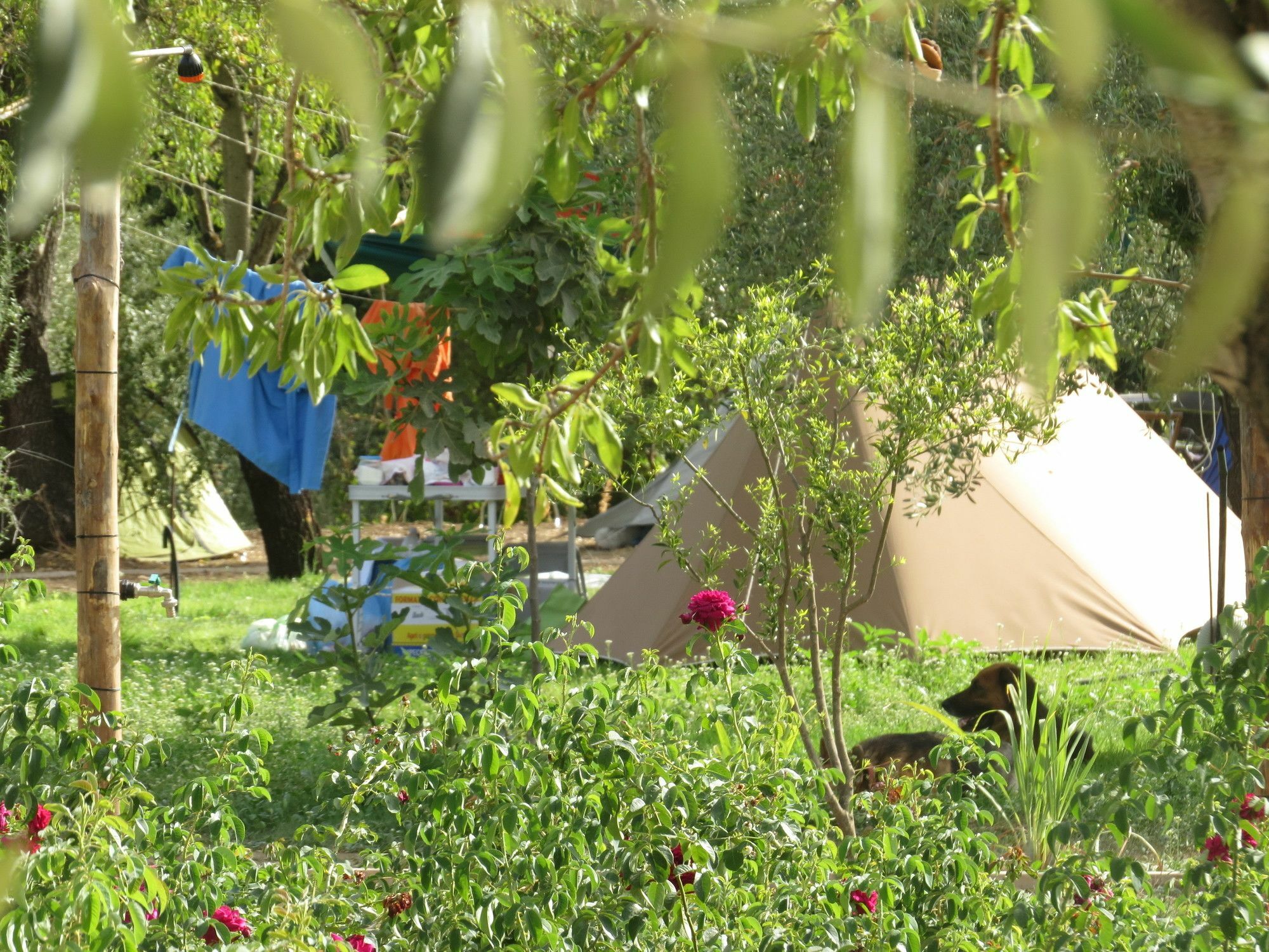 Camping Fiori di Noto Bagian luar foto