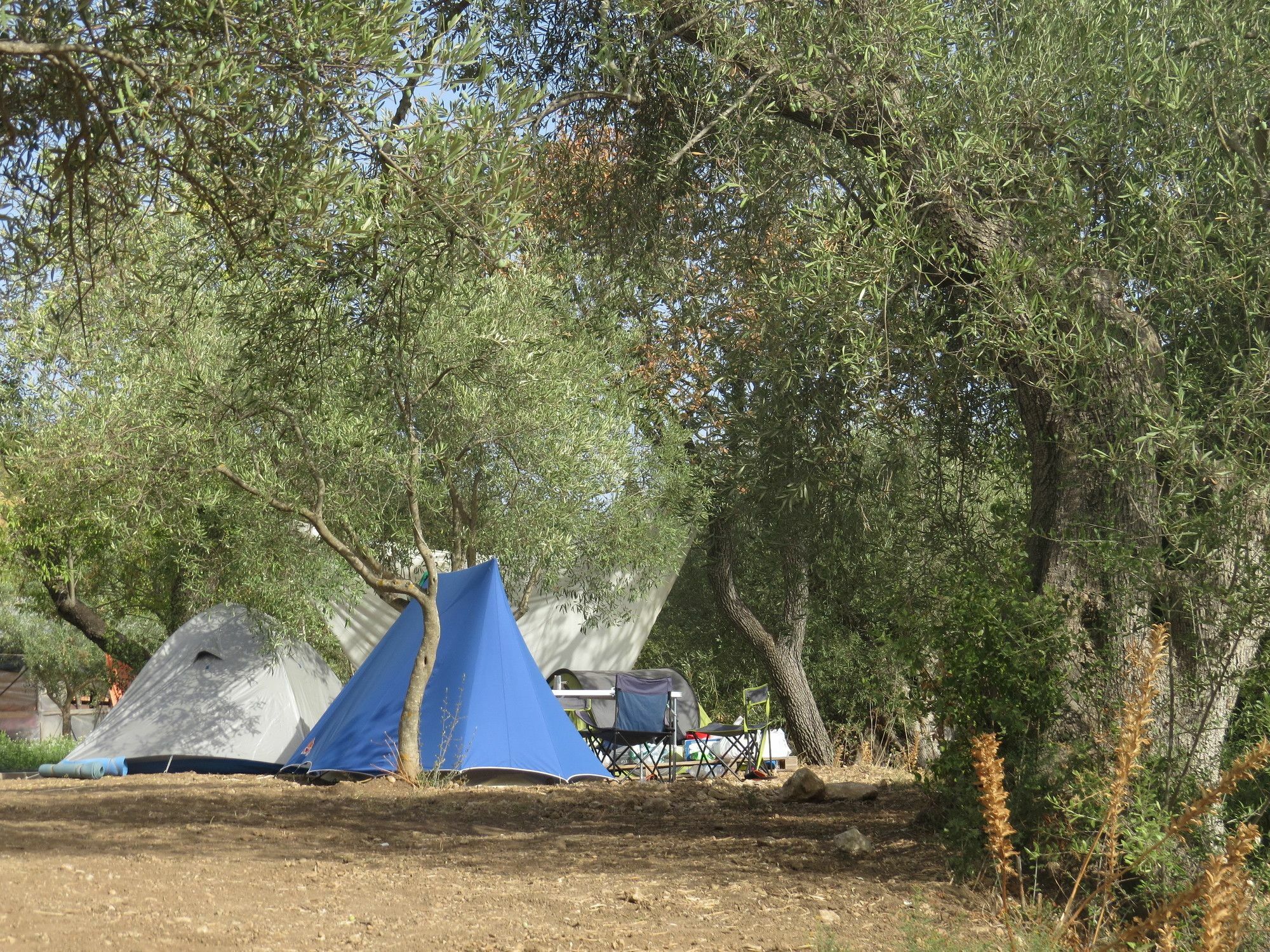 Camping Fiori di Noto Bagian luar foto
